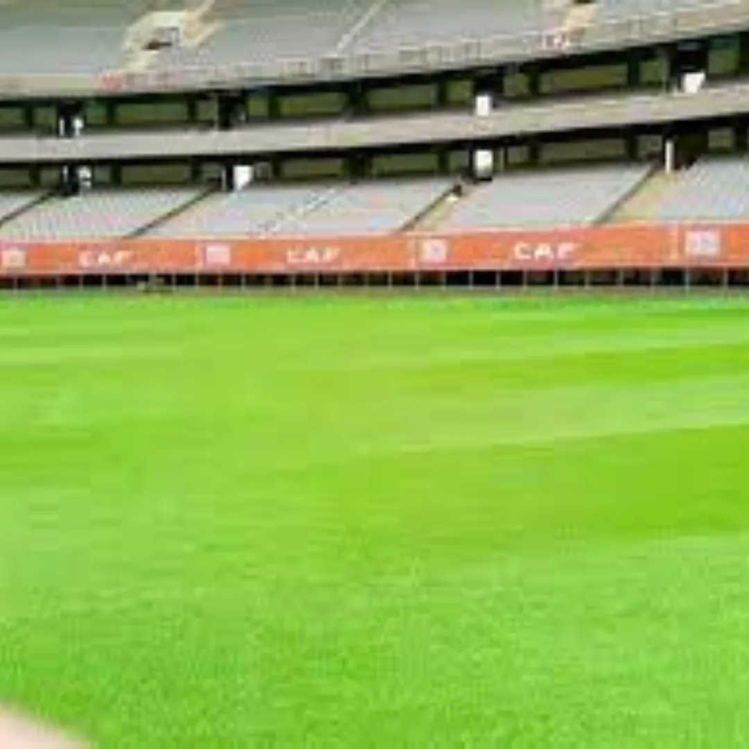 Natural Grass Stadium Flooring in Pakistan