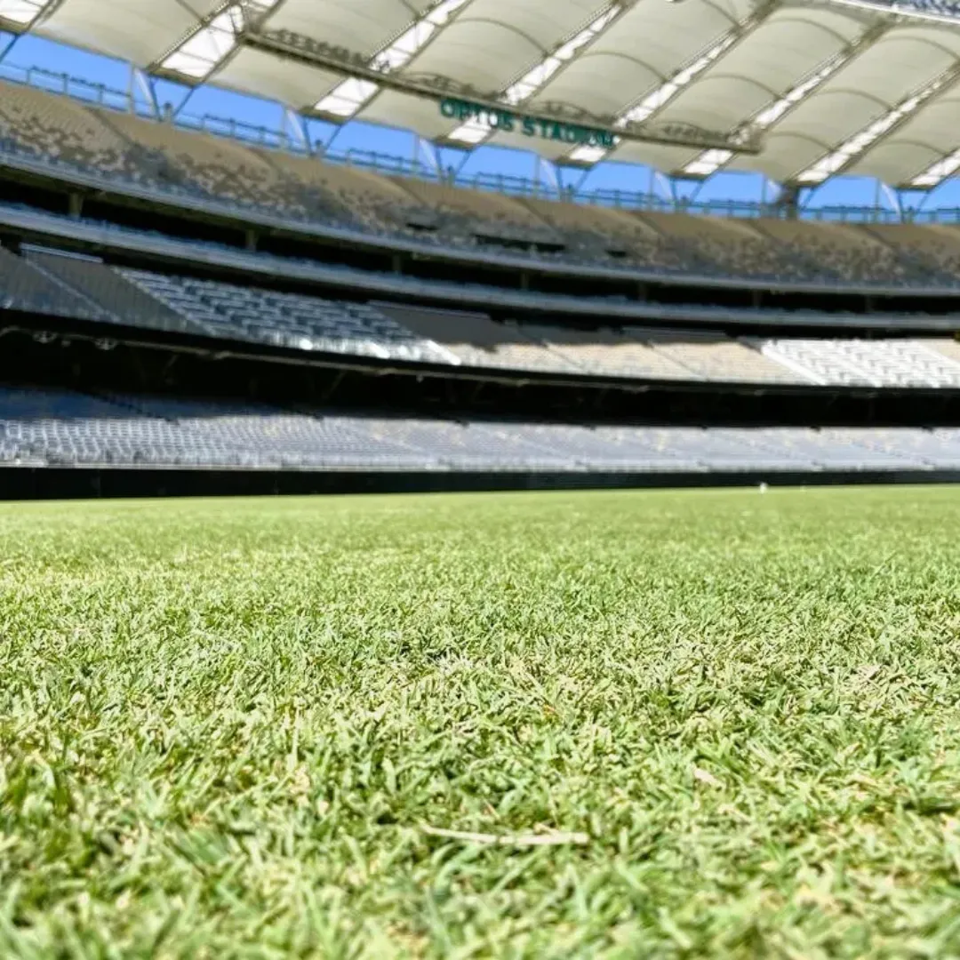 Hybrid Grass Stadium Flooring in Pakistan