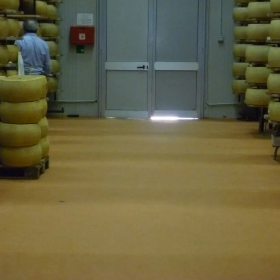 Packaging Area Epoxy Flooring Packaging Area Epoxy Flooring