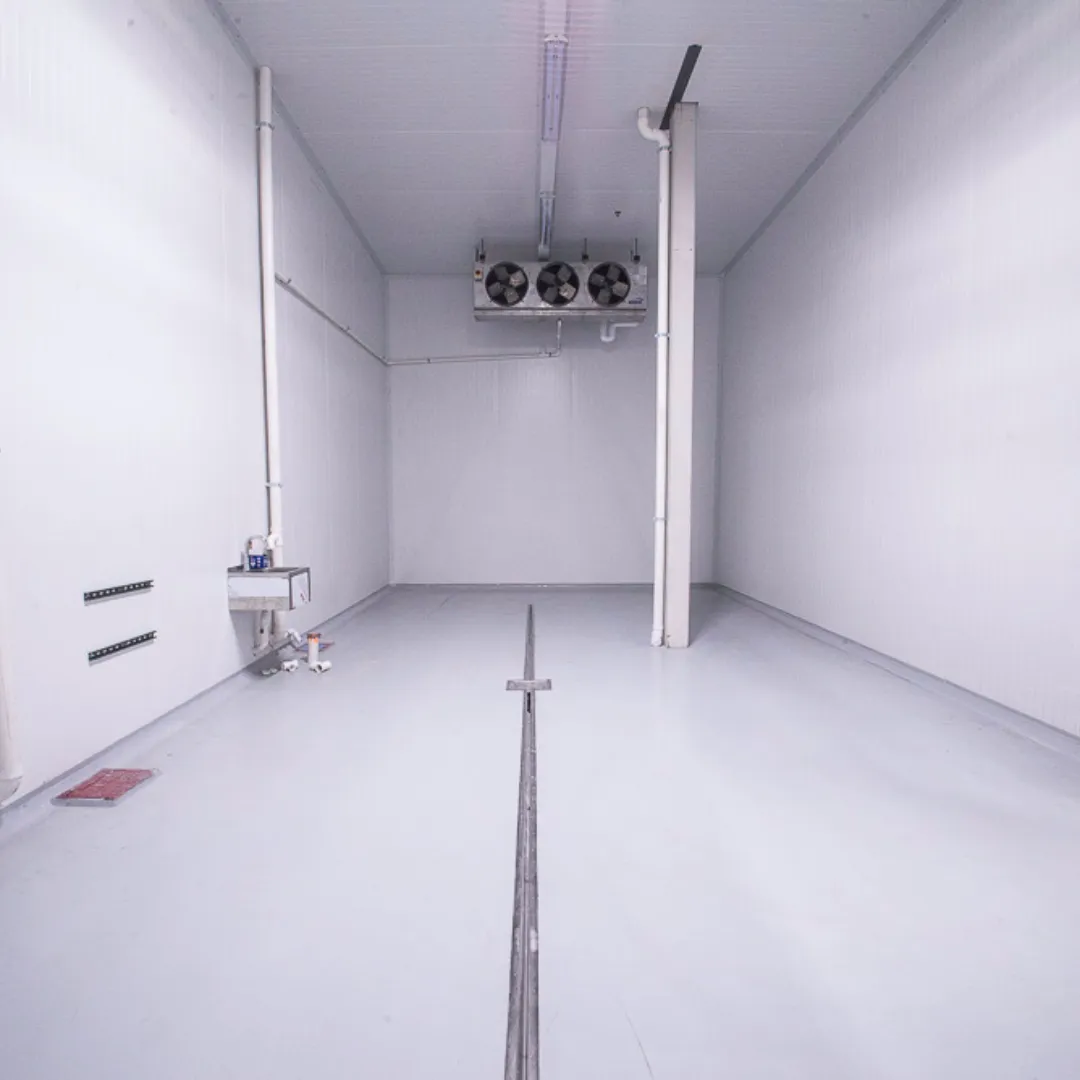 Cold Storage Epoxy Flooring Cold Storage Epoxy Flooring