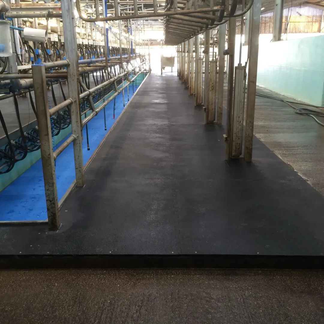 Rubber Factory Flooring in Pakistan Rubber Factory Flooring in Pakistan