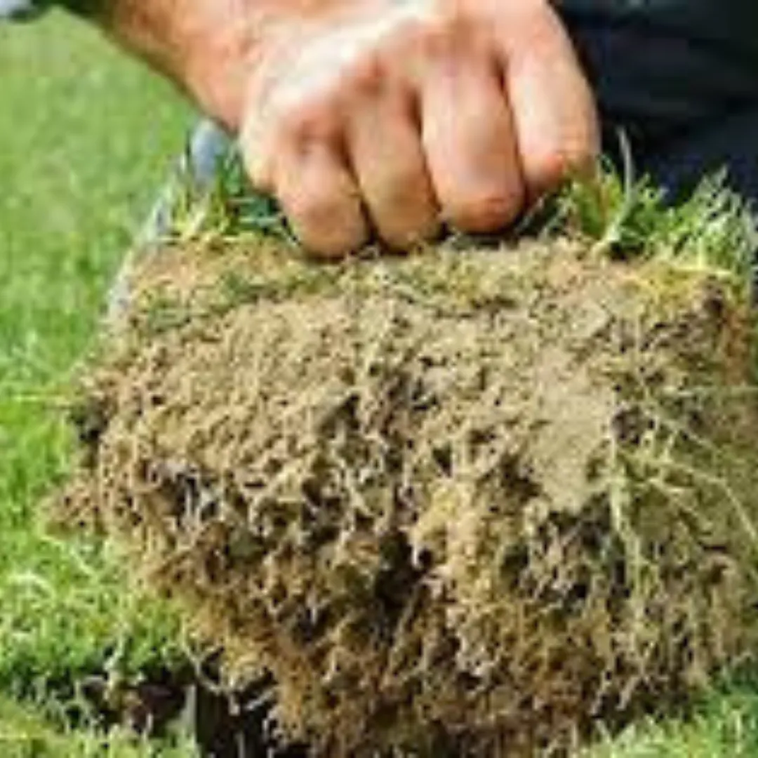 Hybrid Grass Stadium Flooring in Pakistan