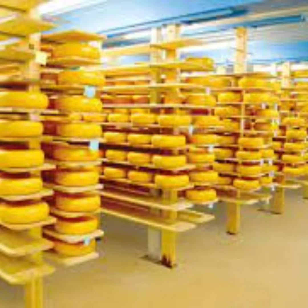 Packaging Area PU Flooring Packaging Area PU Flooring