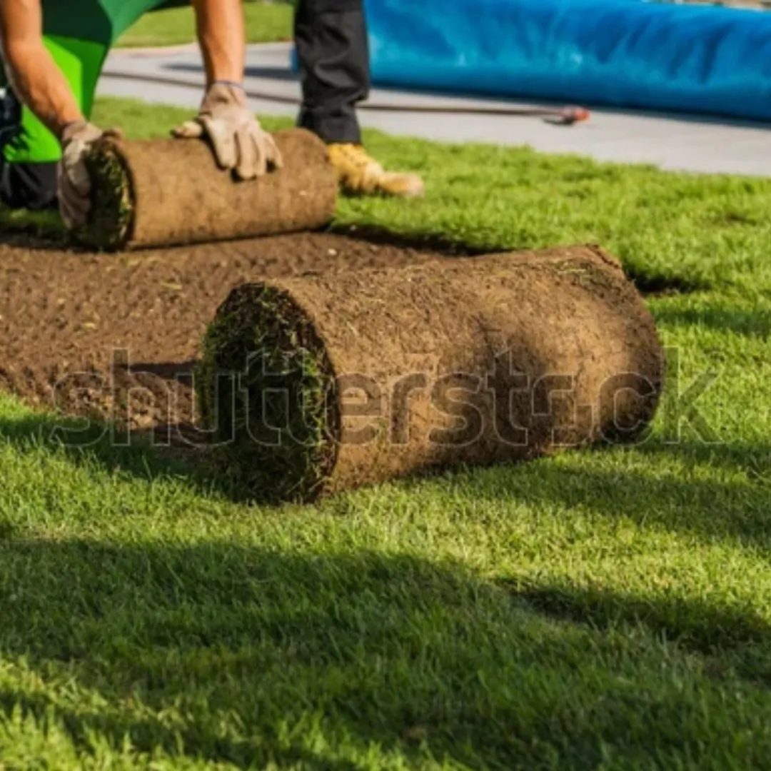 Artificial Grass Turf Stadium Flooring in Pakistan Artificial Grass Turf Stadium Flooring in Pakistan
