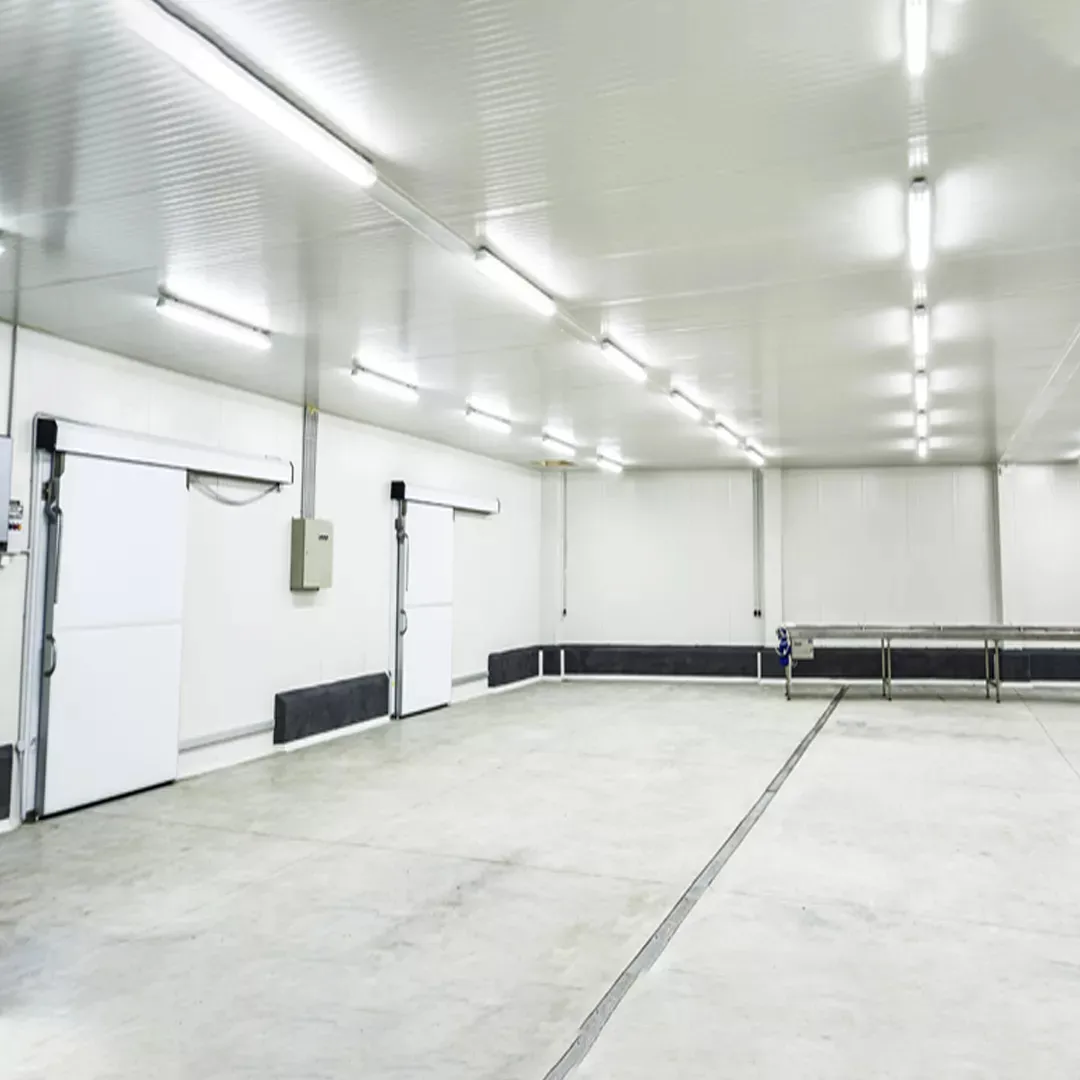 PU Cold Storage Flooring in Pakistan PU Cold Storage Flooring in Pakistan