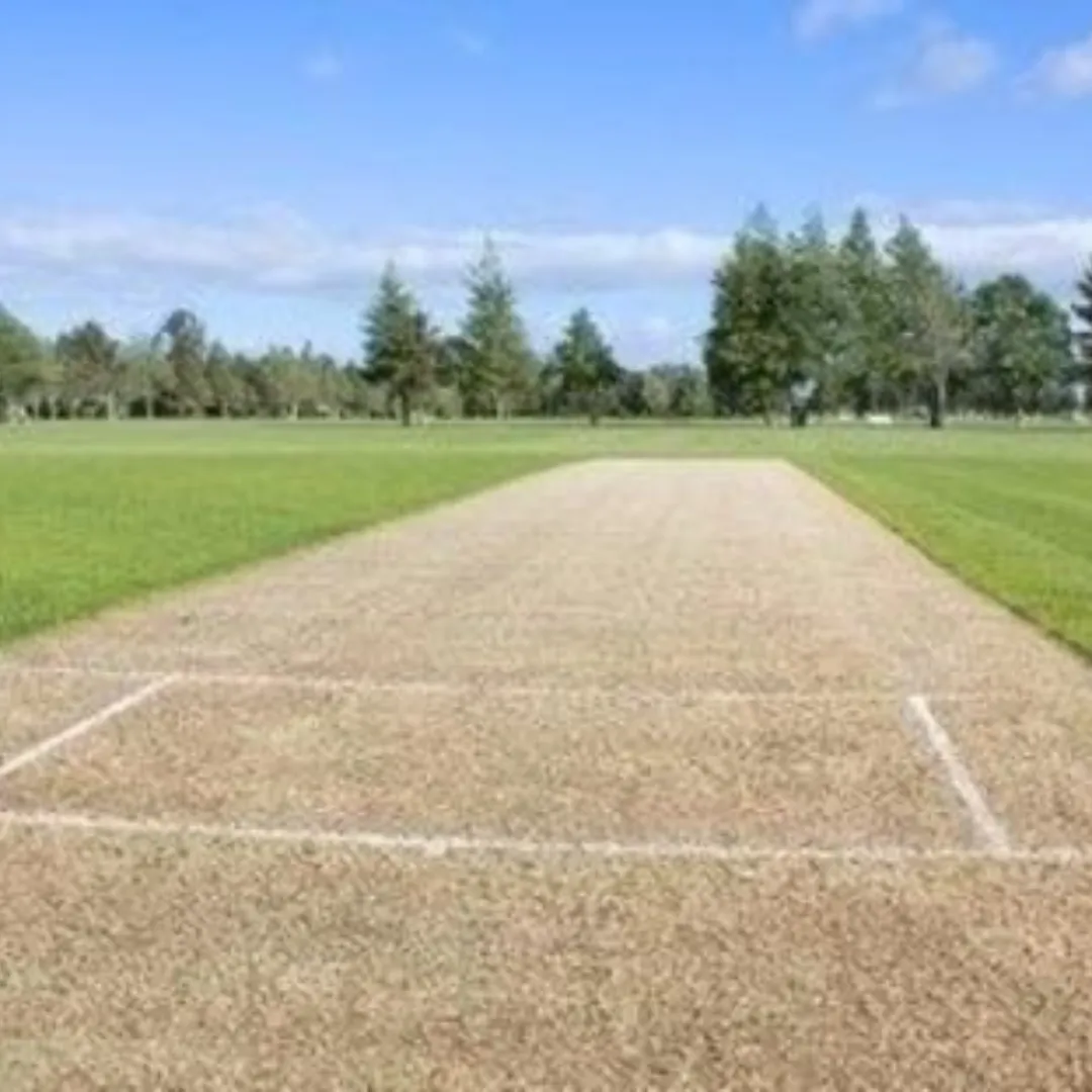 Clay Cricket Pitch