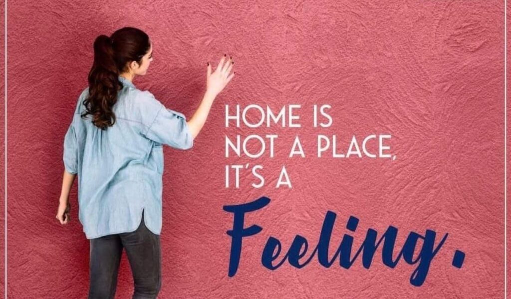 Sandtex Premium Texture price