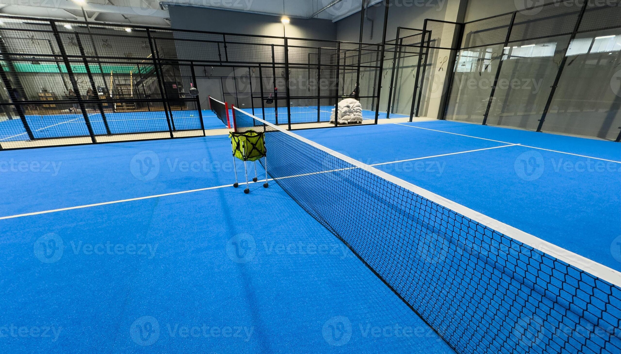 indoor pedal court net price