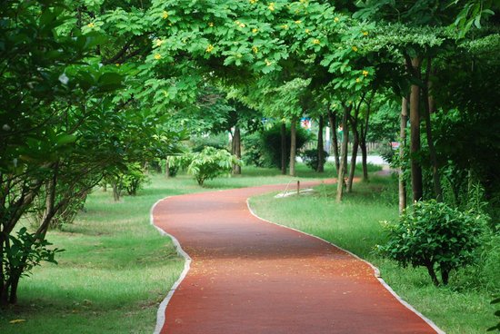 Outdoor Jogging Track Installation in Faisalabad